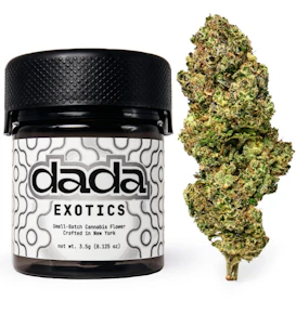Dada | Flower | Exotic | Hash Burger | 3.5G | 