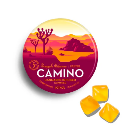 Camino - Camino - Pineapple Habanero - 100mg Gummies (20ct) Main Image