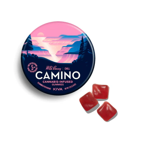 Camino - Camino - Wild Berry - 100mg Gummies (20ct) Main Image