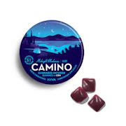 Camino - Midnight Blueberry - 5:1 THC:CBN Gummies (20ct)
