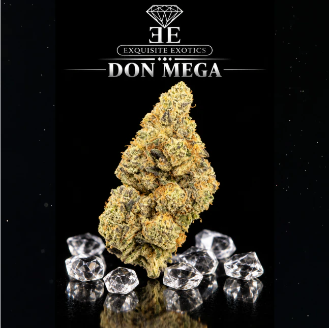 Exquisite Extractions - 3.5 - Don Mega - EE Main Image