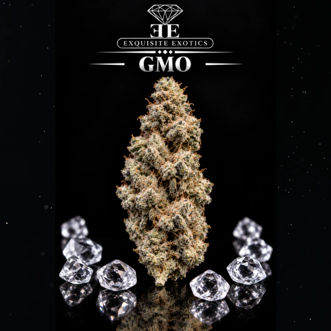 Exquisite Extractions - 3.5 - GMO - EE Main Image