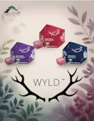 Wyld - High Dose - Elderberry CBN/THC Gummy - 100mg