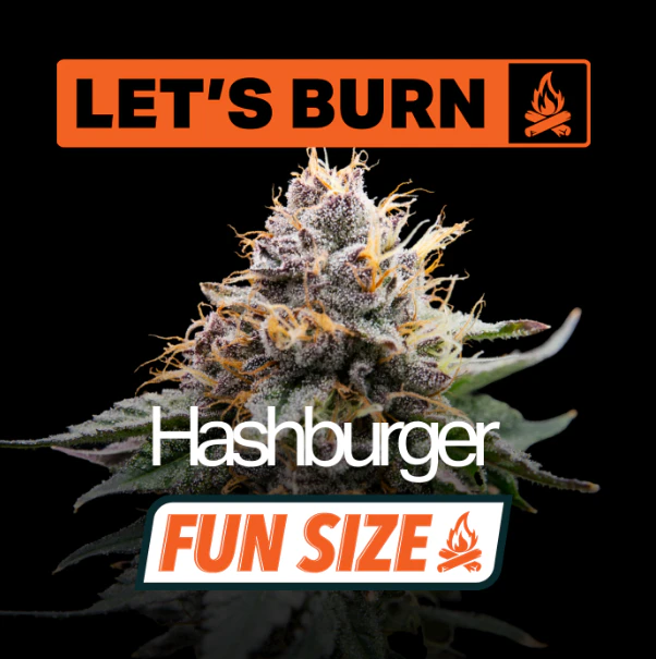 Let's Burn - Let's Burn Hashburger 7g Fun Size Budz 0082 Main Image