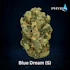 Product Preview Image 1