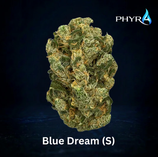 Phyra - Blue Dream Whole Flower 3.5g (S) 00744 Main Image
