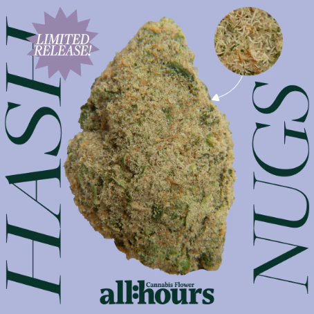 all:hours - all:hours Permanent Kush Hash Nugs 42334 Main Image