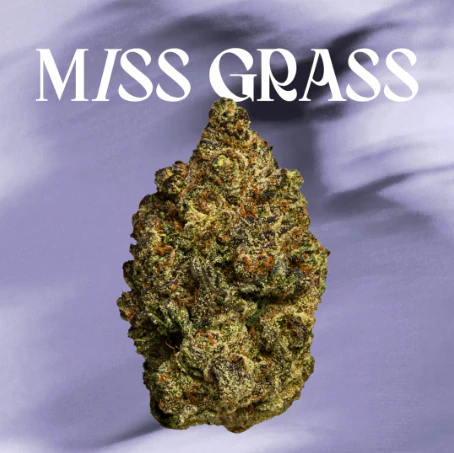 Miss Grass - Biscotti Pie All Times 3.5g 42289 Main Image