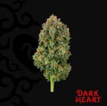 Dark Heart Collection - Dark Heart Collection Whole Flower 3.5g Blackened Blue (S) 02078 Main Image