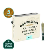 CHEDDAR CHEESE INFUSED 5PK PREROLLS - DOGWALKERS - 2.25g