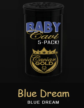 Caviar Gold - Caviar Gold - Infused Preroll - Blue Dream - 2.5g - 5 Pack Main Image