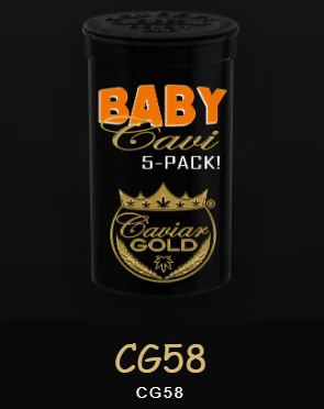 Caviar Gold - Caviar Gold - Infused Preroll - CG58 - 2.5g - 5 Pack Main Image
