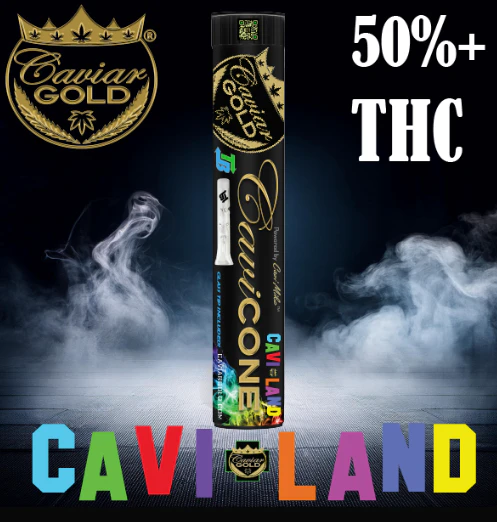 Caviar Gold - Caviar Gold - Infused Preroll - Cavi Land - 1.5g Main Image