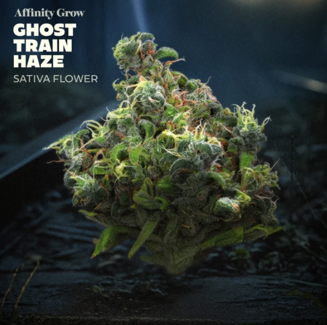 Affinity Grow - Ghost Train Haze Flower S 01147 Main Image
