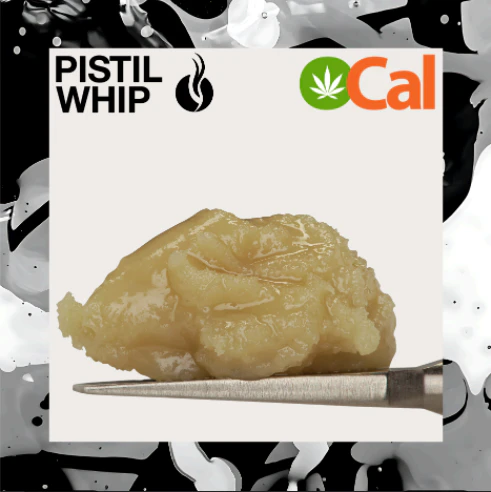Pistil Whip - Pistil Whip — Banana Jelly Live Rosin Badder (1g) Main Image