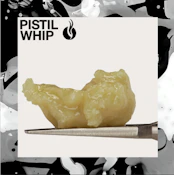 Pistil Whip — Maui Mimosa Live Rosin Badder (1g)