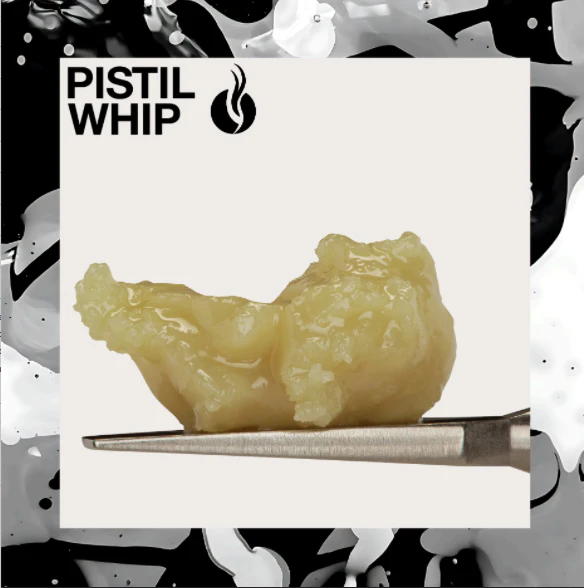 Pistil Whip - Pistil Whip — Maui Mimosa Live Rosin Badder (1g) Main Image