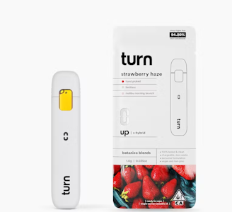 TURN - [Turn] AIO - 1g - Strawberry Haze (H/S)