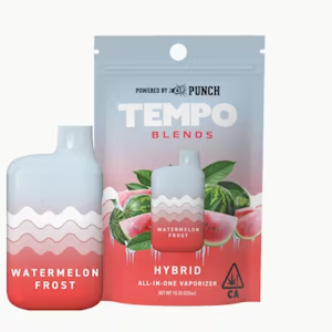 TEMPO - [Tempo] Blends AIO - 1g - Watermelon Frost (H)
