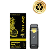 PINEAPPLE FUNK VAPE PEN - FERNWAY - 2g