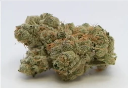 R and D Pharm  Black Maple Deli Flower
