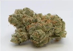 R and D Pharm - R and D Pharm  Black Maple Deli Flower Main Image