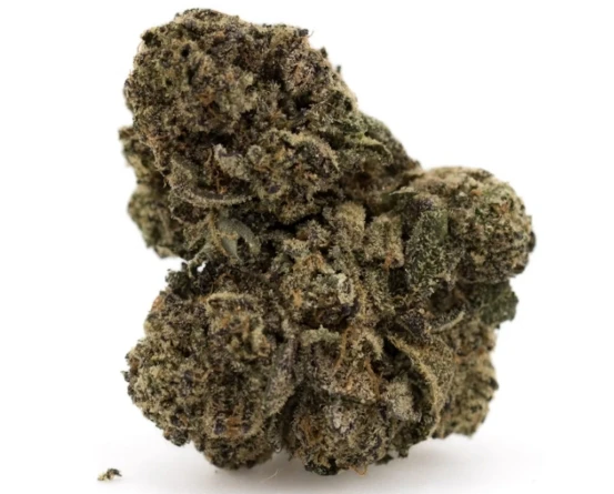 Campfire Cannabis - Grapes n Cream | Flower Case | Pre-Packed 14G (Campfire Cannabis) Main Image