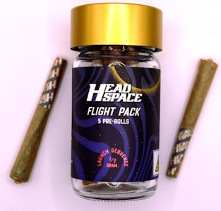 HEAD SPACE (NY) - HEADSPACE | Gelonade | .5G 5PK Prerolls