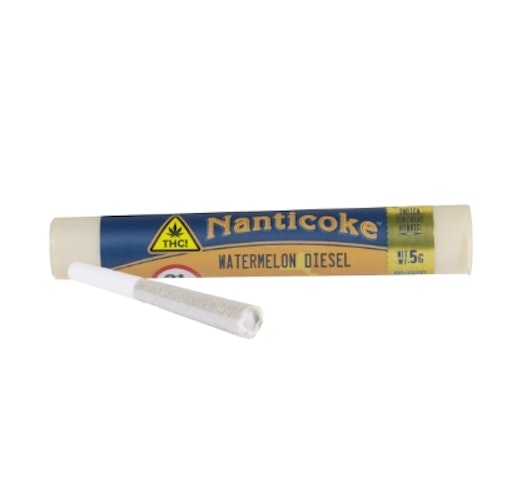 Nanticoke - Watermelon Diesel -Hybrid - 0.5G (Pre-Roll) JOINT | Nanticoke   -ff9 back 