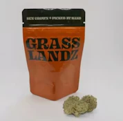 Grasslandz | Glue 31 | 3.5g | Flower