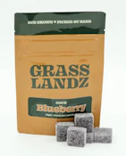 Gummies 4.5g-EN | Grasslandz | Sour Blueberry | 10 ct