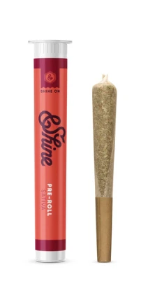&SHINE - Beaver Cookies Single .75g- Pre-Roll- Shine (Sativa) Main Image
