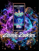 Presidential - Moon Rock Rosin Blunt - Cosmic Cookies - 1.5g