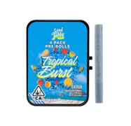 Seed Junky - Preroll - 4pk - Tropical Burst