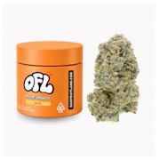 Oakfruitland - Flower - Orange Creamsicle - 7g