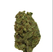 Buzzed | Atomic Belts | 7g Flower