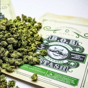 Bob Stash | TRAINWRECK | 3.5g flower