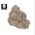 Product Preview Image 2