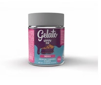 Gelato | Grape Pie | Flower 3.5g Indica