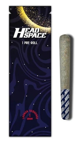 HEAD SPACE (NY) - Kiwi -Hybrid- 26.10% THC | (Pre-Roll) 1g | Head Space    -q5 