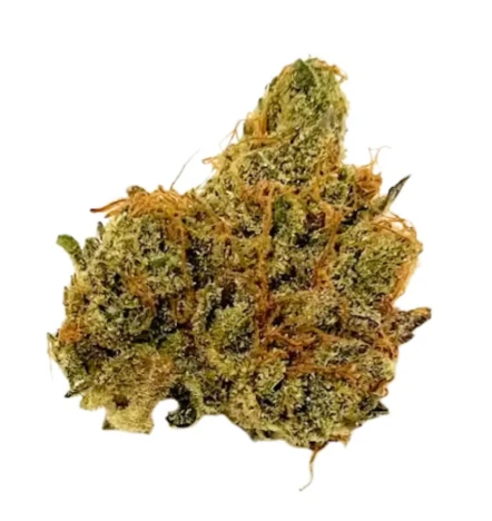 Valhalla Cannabis Company - Blue Sunset Sherbet- 3.5g | Flower- Valhalla Cannabis Company Main Image