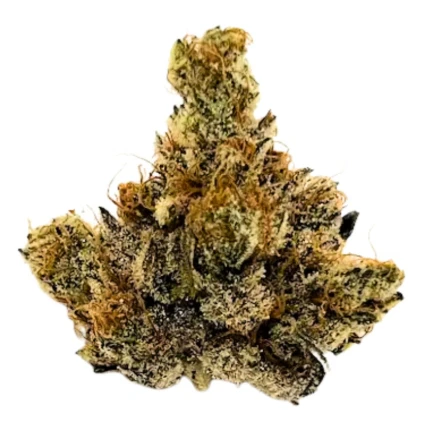 Valhalla Cannabis Company - Mandarin Cookies- 3.5g | Flower- Valhalla Cannabis Company Main Image