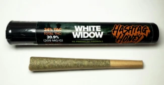 Hashtag Honey - Hashtag Honey - White Widow - 1g - Preroll Main Image