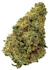 Product Preview Image 1