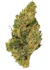 Product Preview Image 1