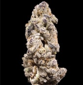 [REC] The Happy Farmer x Pheno Tommy | Kacklesnatch | 3.5g Flower