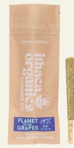 Ithaca Organics - A32 Ithaca Organics Planet of the Grapes Pre-Roll 1g