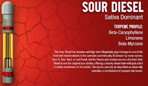 SOUR DIESEL - MAGNITUDE VAPE CART - 1g