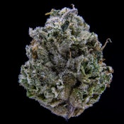 Jar Co | Blue Slushie | 3.5g