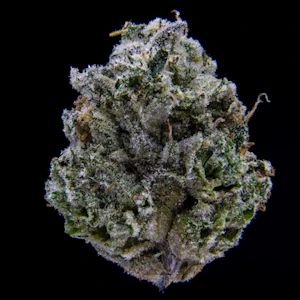 JAR Cannabis Co. - Jar Co | Blue Slushie | 3.5g